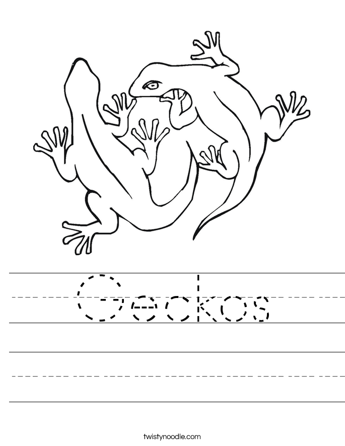 Engaging reading and writing activity centered around gecko trivia for kids Colorful worksheet featuring interesting facts about geckos for second graders