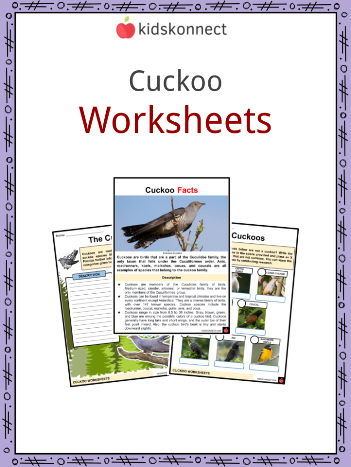 Engaging reading and writing activities about geckos for young learners Colorful worksheet featuring fascinating facts about geckos for second graders