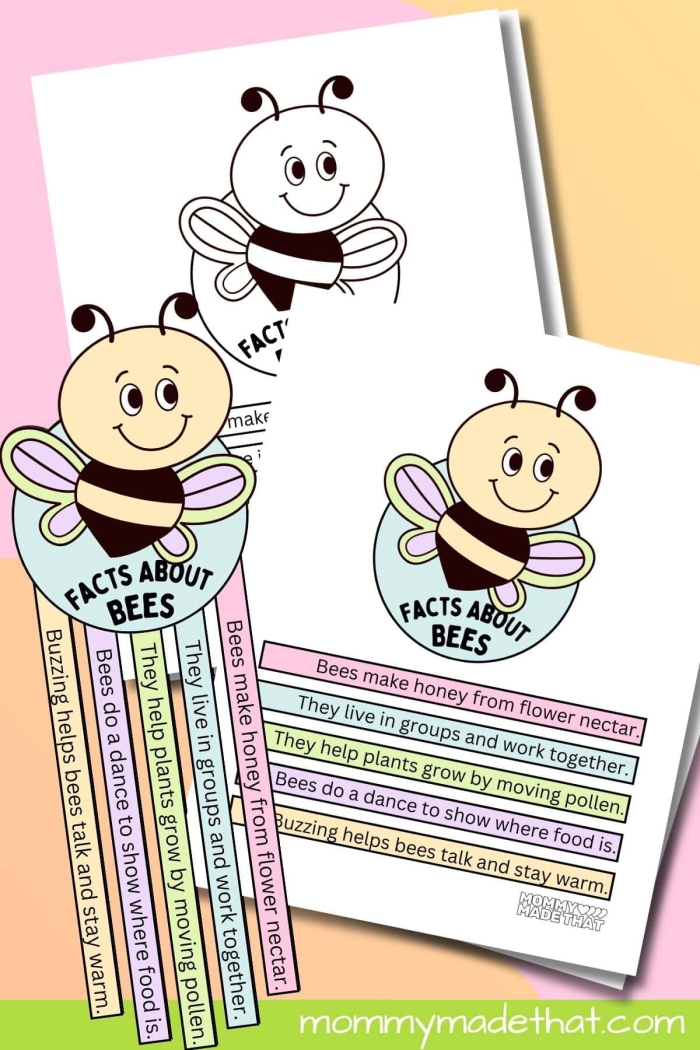 Engaging gecko facts worksheet for reading and writing activities Colorful worksheet featuring interesting facts about geckos for second graders