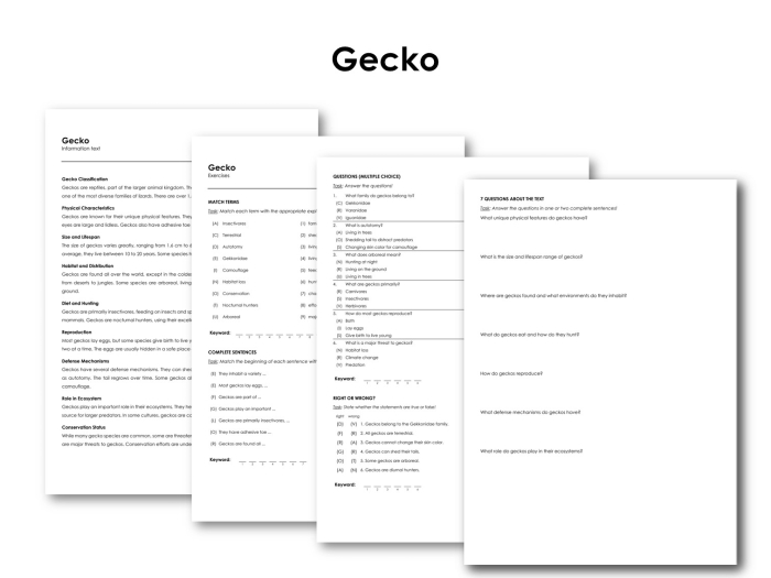 Engaging reading and writing activity about geckos for children Colorful worksheet featuring interesting facts about geckos for second graders