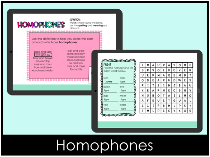 Homophones practice worksheet for young learners focusing on historical vocabulary, image 20 Second grade student completing a Pick the Homophones worksheet with a history theme