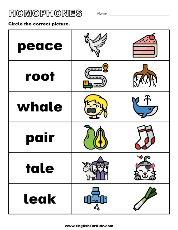 Pick the Homophones worksheet for history lesson labeled image 16 Second grade student completing a Pick the Homophones worksheet with a word bank and six sentences