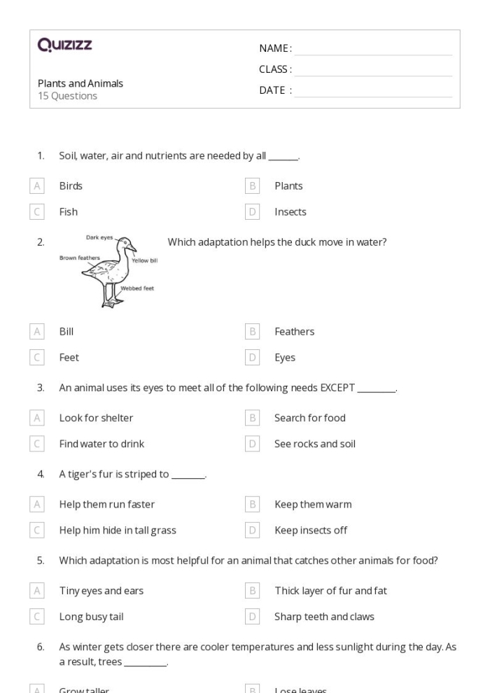 Animal Word Search worksheet featuring various mammals for second graders