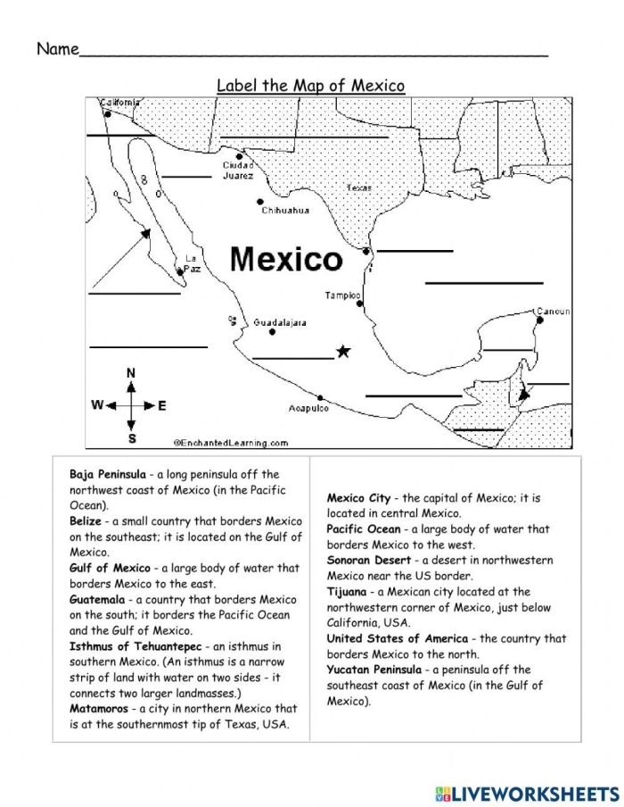 Second grade students completing a Mexican Music Facts reading worksheet with questions