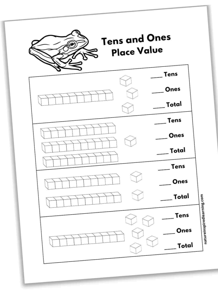 Second grade worksheet featuring money and place value with hundreds, tens, and ones for practice