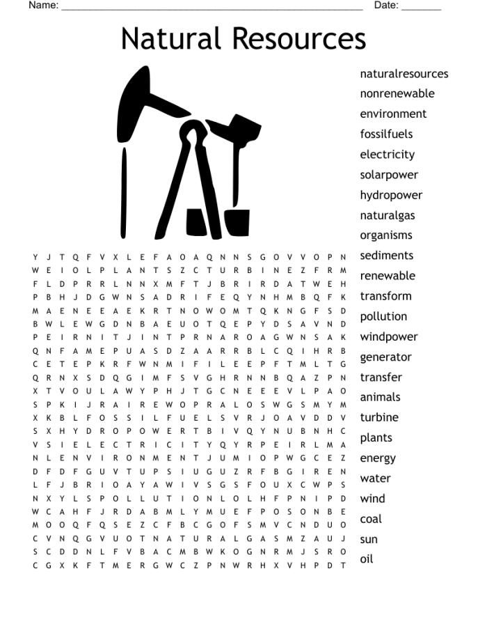 Natural Resources Word Search activity for second graders focusing on key vocabulary Second grade worksheet featuring a natural resources word search and definitions