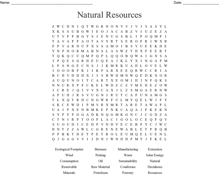 Natural resources word search activity for second graders to learn and add up vocabulary words Second grade natural resources word search worksheet with vocabulary and addition practice