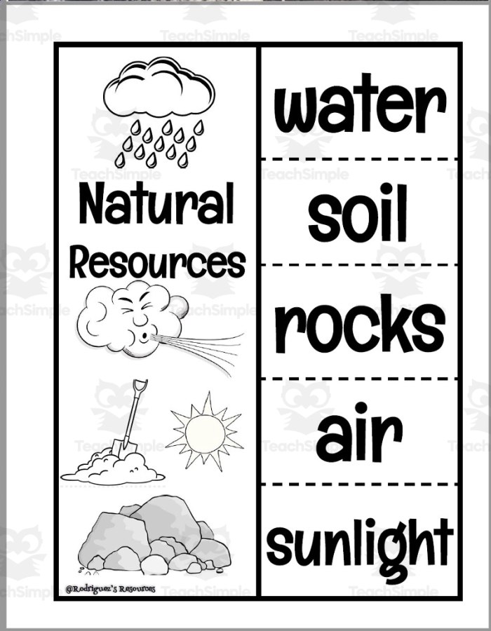 Natural resources vocabulary activity for second graders with word search puzzle Second grade natural resources word search worksheet for addition practice
