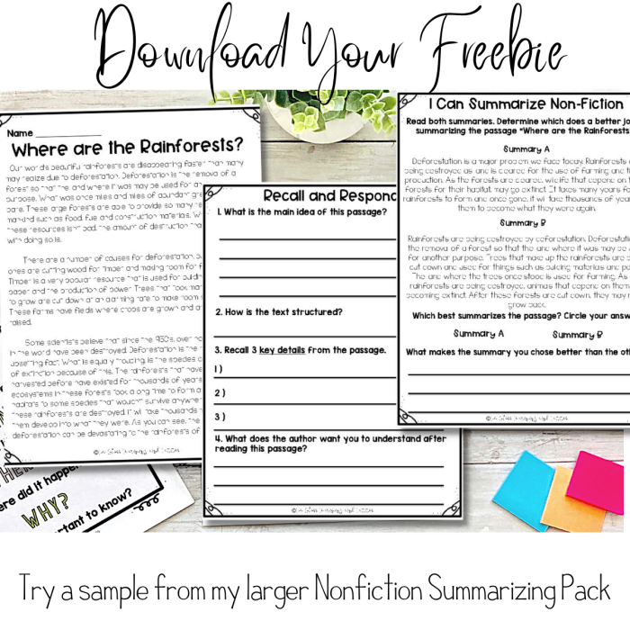 Second Grade Nonfiction Summary Practice Sheet with Graphic Organizer for Text Comprehension Nonfiction Text Summary Template worksheet showing fill-in sections for second grade students to practice reading comprehension and summarization skills