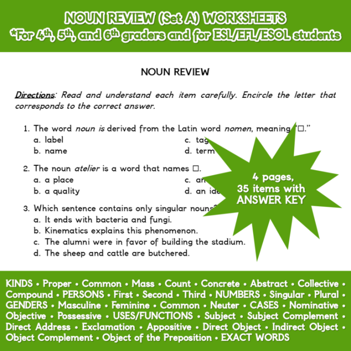 Engaging noun exercise for young learners in first and second grade Second grade noun review worksheet with colorful illustrations for reading practice