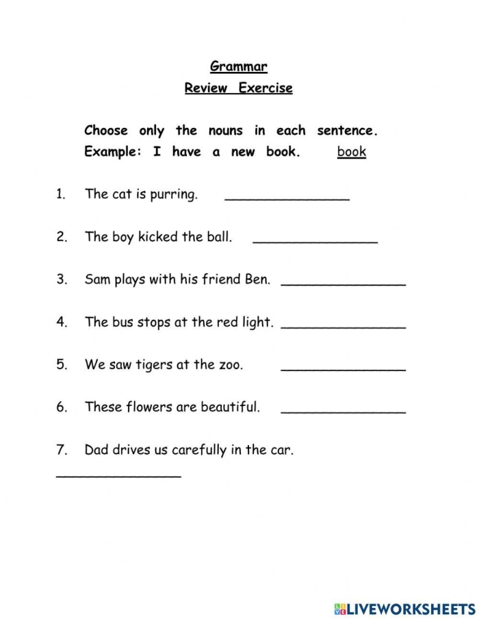 Second grade noun exercise worksheet with parts of speech focus Colorful noun review worksheet for second grade reading practice