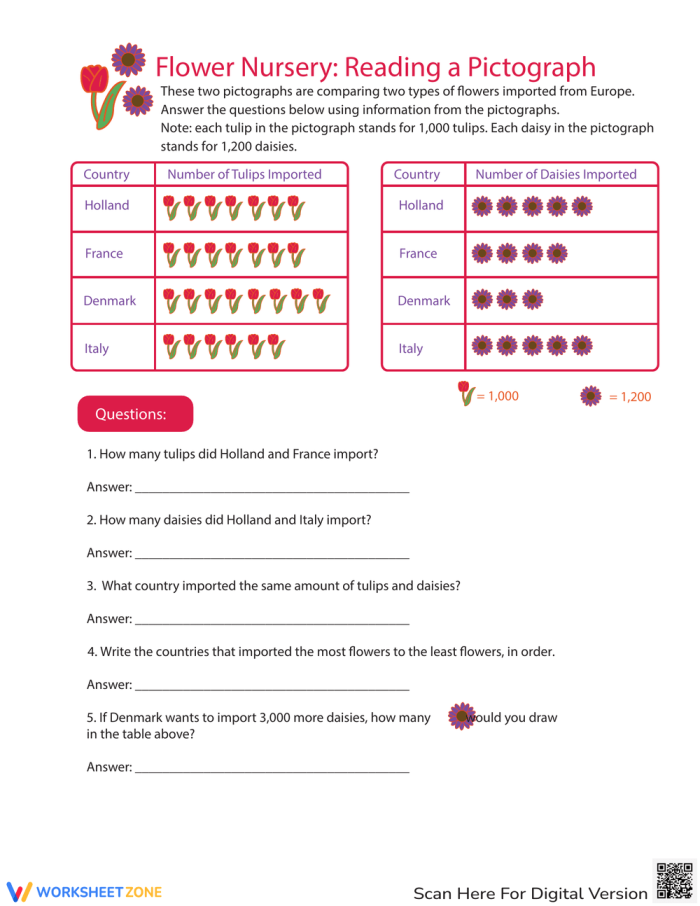 Worksheet image for Comparing Pictographs Tulips and Daisies activity number 16 Second grade worksheet featuring pictographs comparing tulip and daisy imports from Europe