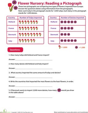 Worksheet image 21 showing tulip and daisy pictograph data for word problem practice Second grade worksheet comparing pictographs of tulips and daisies imported from Europe