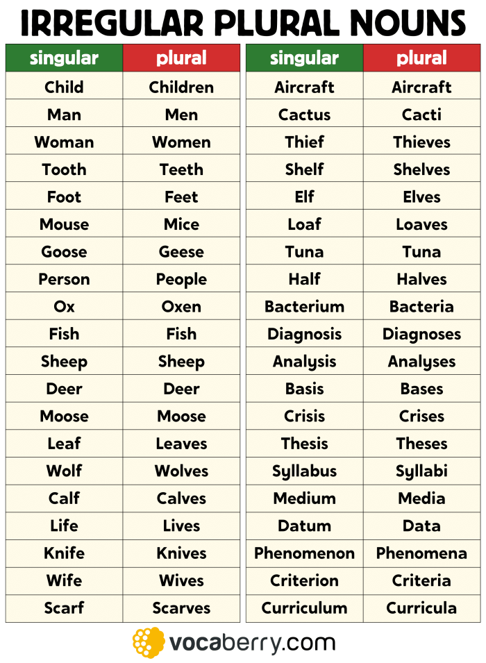 It’s Grammar Time Plural Nouns worksheet for second graders, exercise 12 Second grade students practicing plural nouns on It’s Grammar Time worksheet number 12