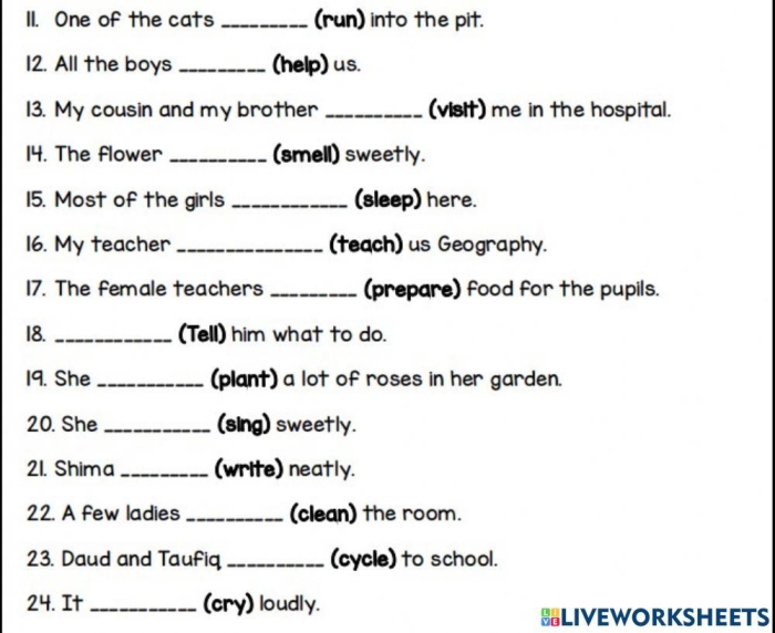 It's Grammar Time: Plural Nouns 2 worksheet for enhancing noun skills Worksheet featuring exercises on plural nouns for second graders
