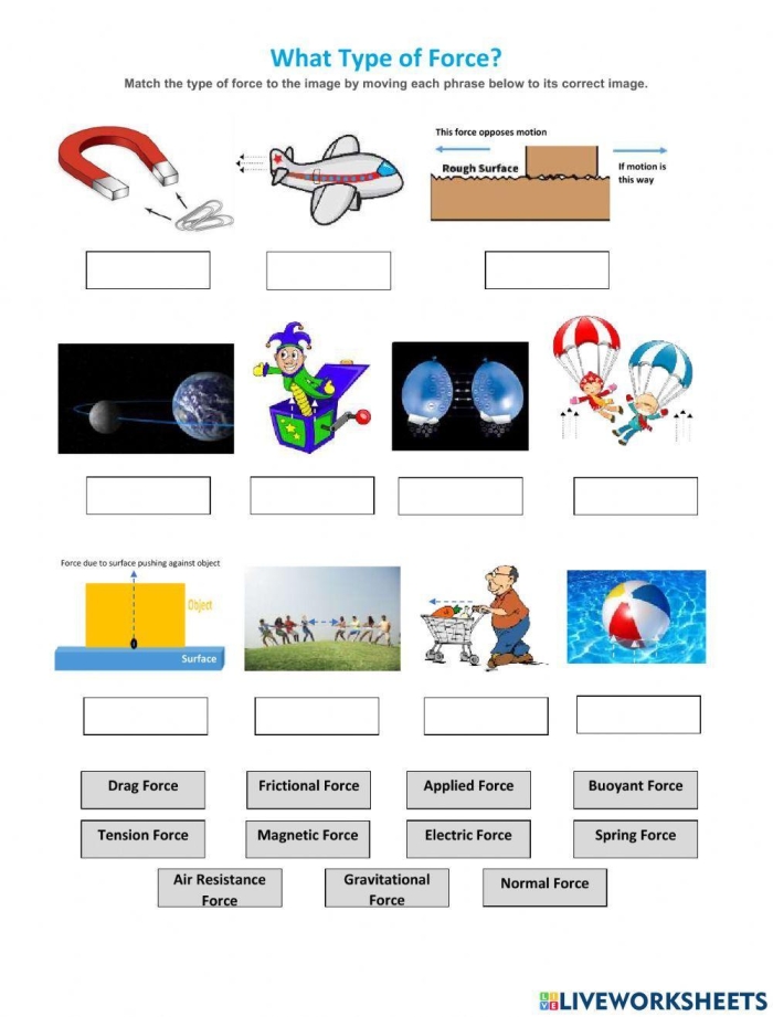 Second grader completing a Learn About Force worksheet by identifying pushing and pulling actions
