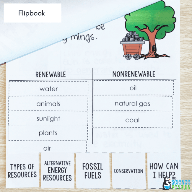 Second grade worksheet showing examples of renewable and nonrenewable natural resources for classification