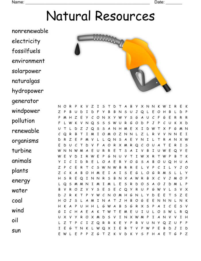 Natural resources word search and definition exercise for second graders on worksheet five Second grade natural resources word search worksheet with vocabulary and addition activities