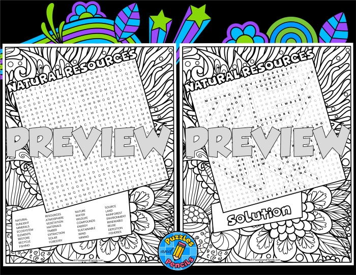 Natural Resources Word Search activity for second graders with addition category focus Second Grade worksheet featuring a natural resources word search and vocabulary definitions