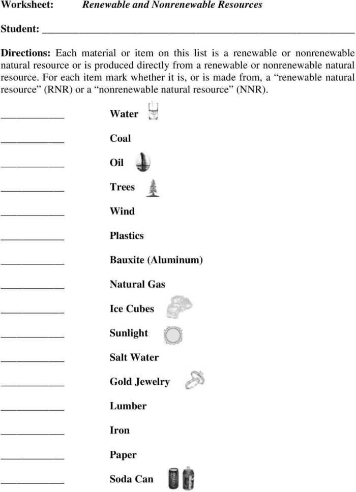 Second Grade worksheet showing examples of renewable and nonrenewable natural resources for classification