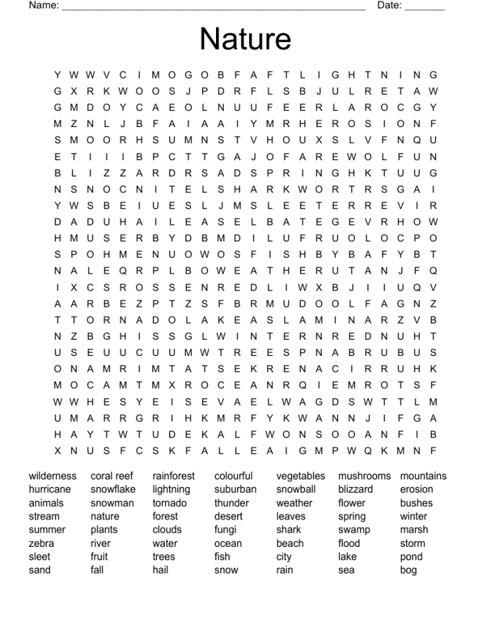 Natural resources vocabulary word search for second graders on worksheet 13 Second grade natural resources word search worksheet with addition theme