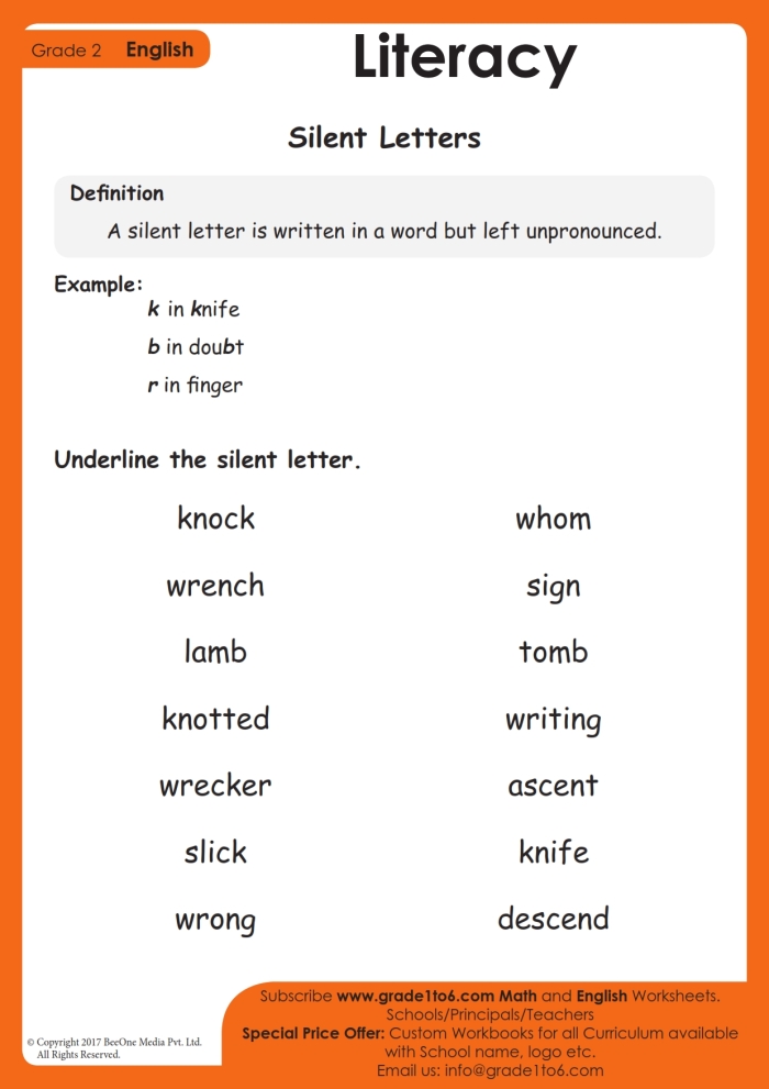 Engaging Silent Final Consonant activity for early readers Colorful worksheet for second graders focusing on silent final consonants