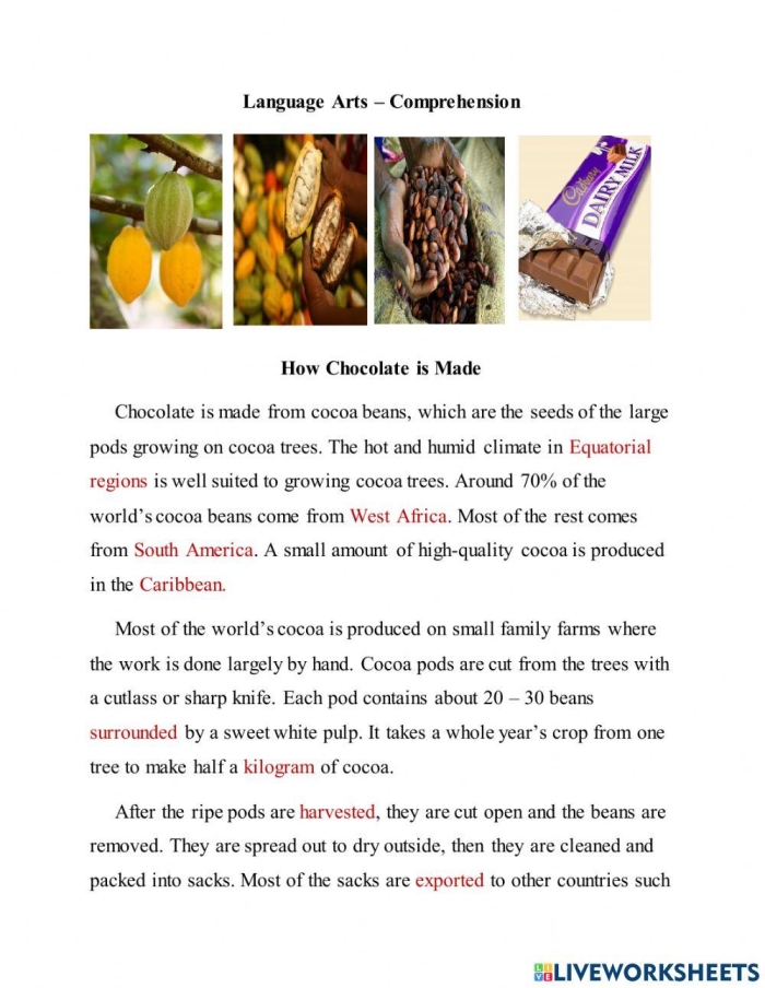 Step-by-step chocolate creation activity for young learners in English Language Arts Second grade students completing a sequencing worksheet about the chocolate-making process