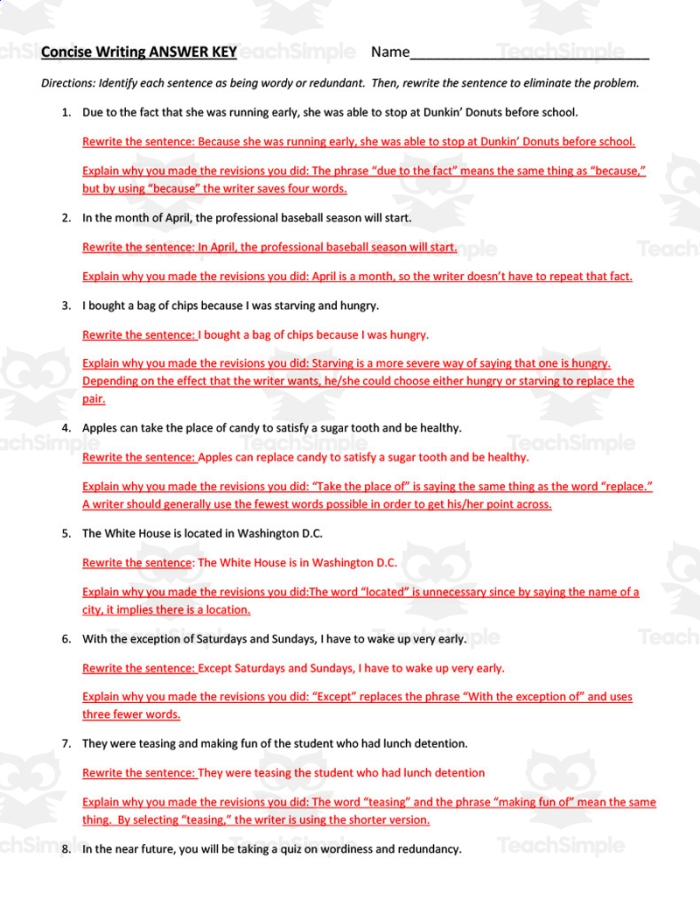 Express Ideas Precisely and Concisely worksheet for seventh graders with sentence editing exercises, image 20 Seventh grade student completing an Express Ideas Precisely and Concisely worksheet focused on clear sentence revision