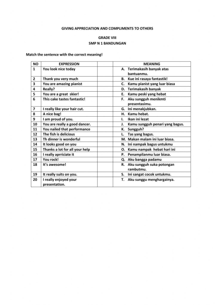 A creative prompt for students to express gratitude and reflection in writing Worksheet for writing a letter of appreciation focused on social-emotional learning for sixth graders
