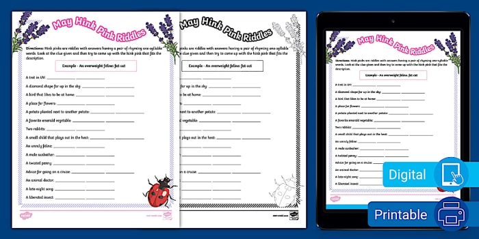 Summer-themed hink pink riddles worksheet for sixth grade reading practice