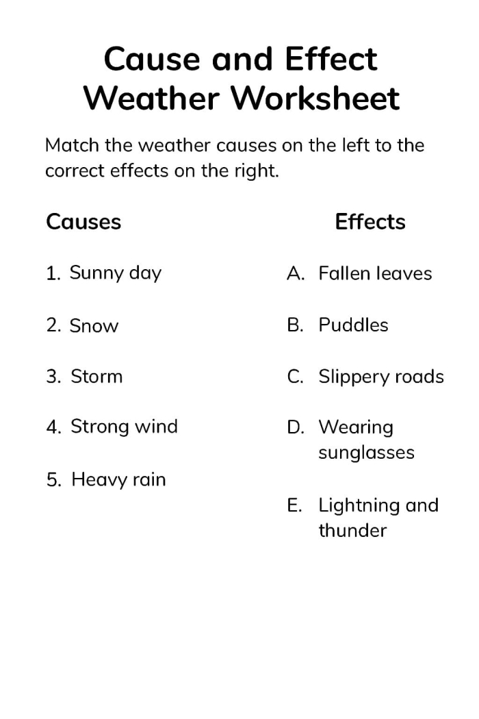 Understanding storm impacts with a detailed weather effects diagram for grade 5 students Fifth grade worksheet showing a flow chart of storm effects for a life science lesson