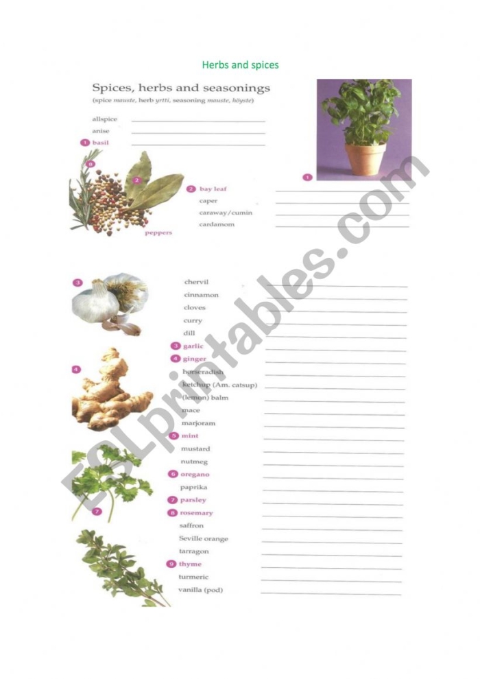 Sugar and Spice worksheet for third graders focusing on grammar and comprehension skills