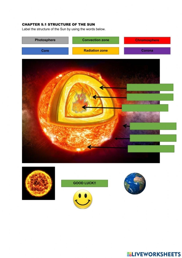 First Grade worksheet showing different layers of the sun for students to label