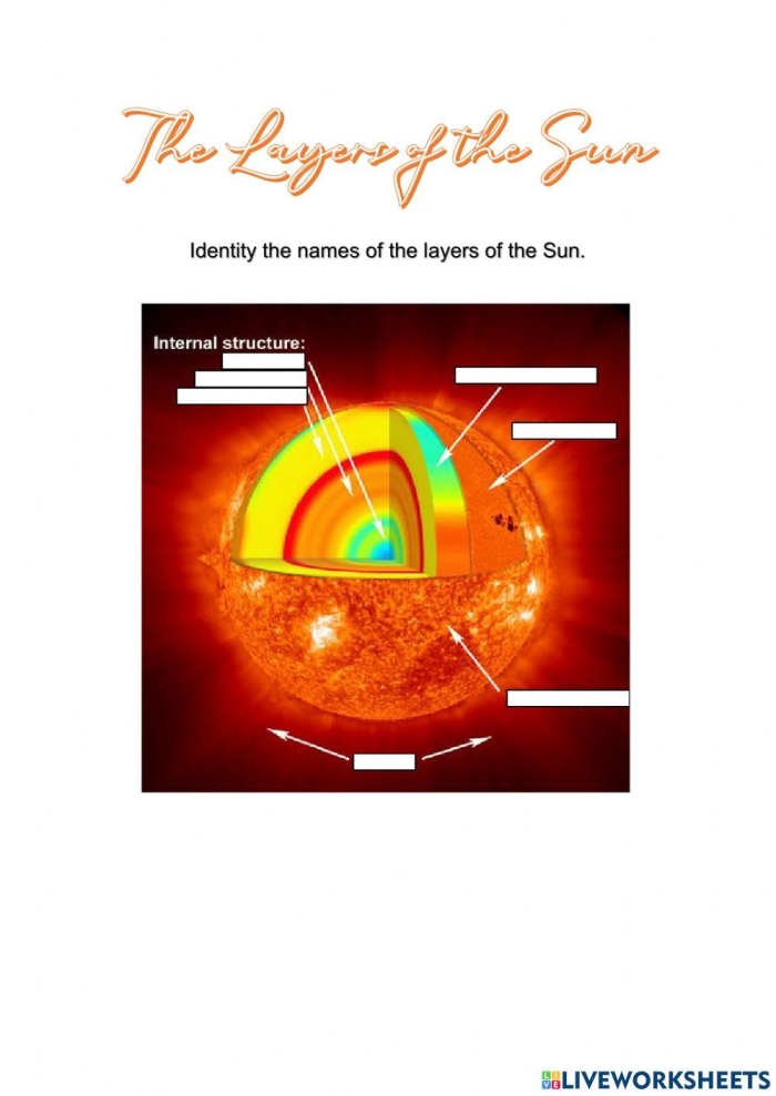 First Grade worksheet for labeling the different layers of the sun