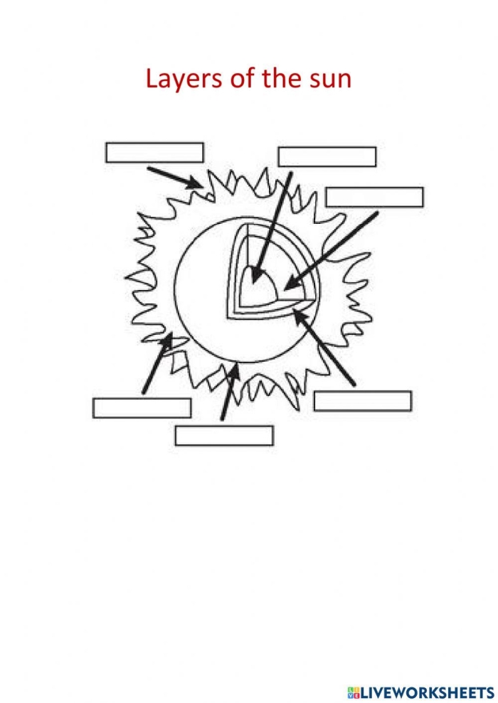 First Grade worksheet showing different layers of the sun for kids to label