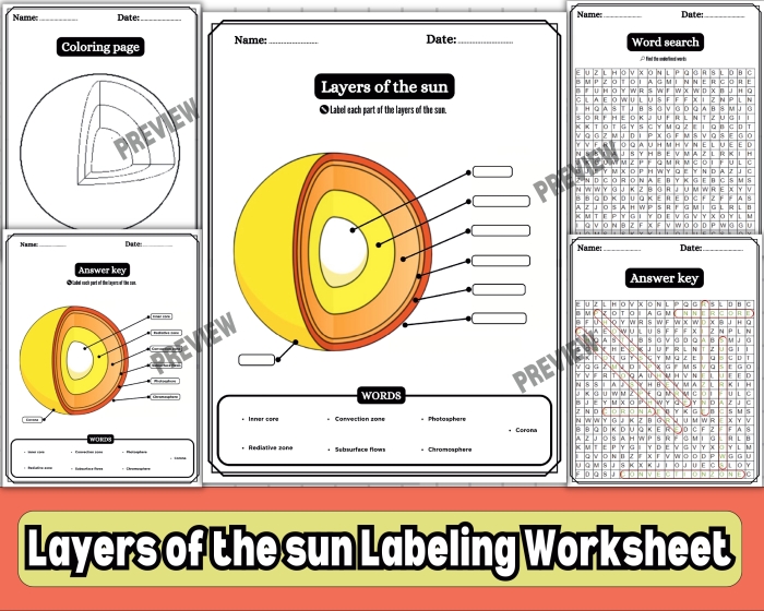 First grade geography worksheet showing facts and labeling activity for the layers of the sun