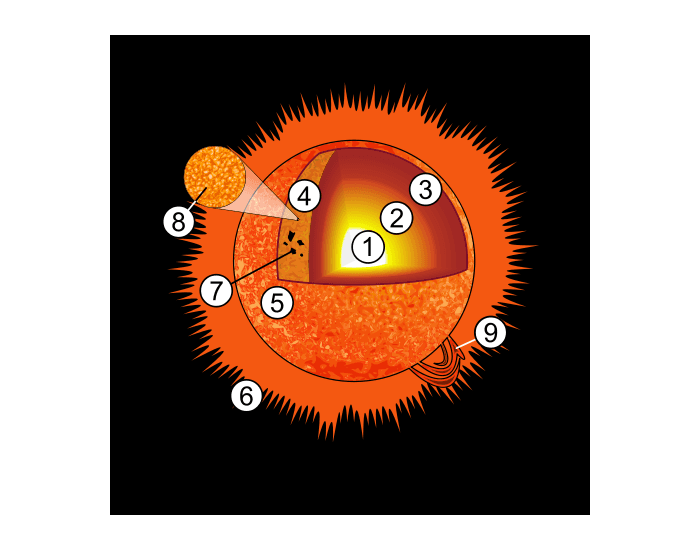 First grade worksheet showing facts and labels for the layers of the sun