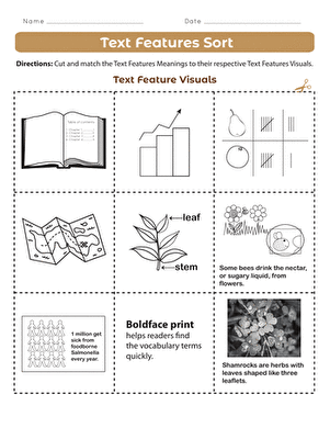 Text Features Sort worksheet for fourth graders to enhance understanding of text elements