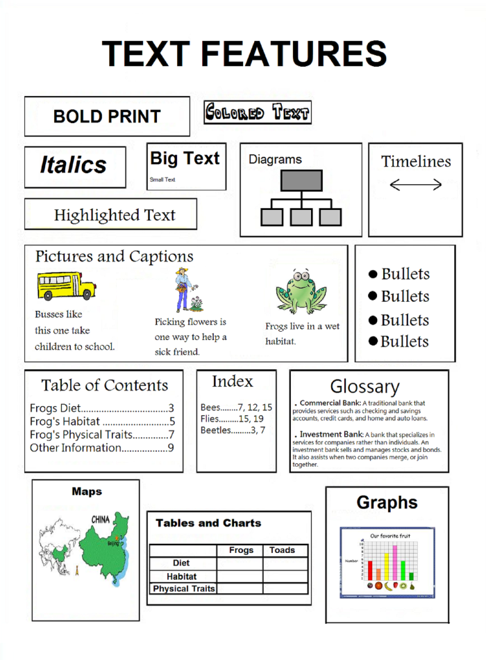 Text Features Sort worksheet for fourth-grade handwriting practice, designed to enhance understanding of text features. An engaging review worksheet for students to match information about various text features.