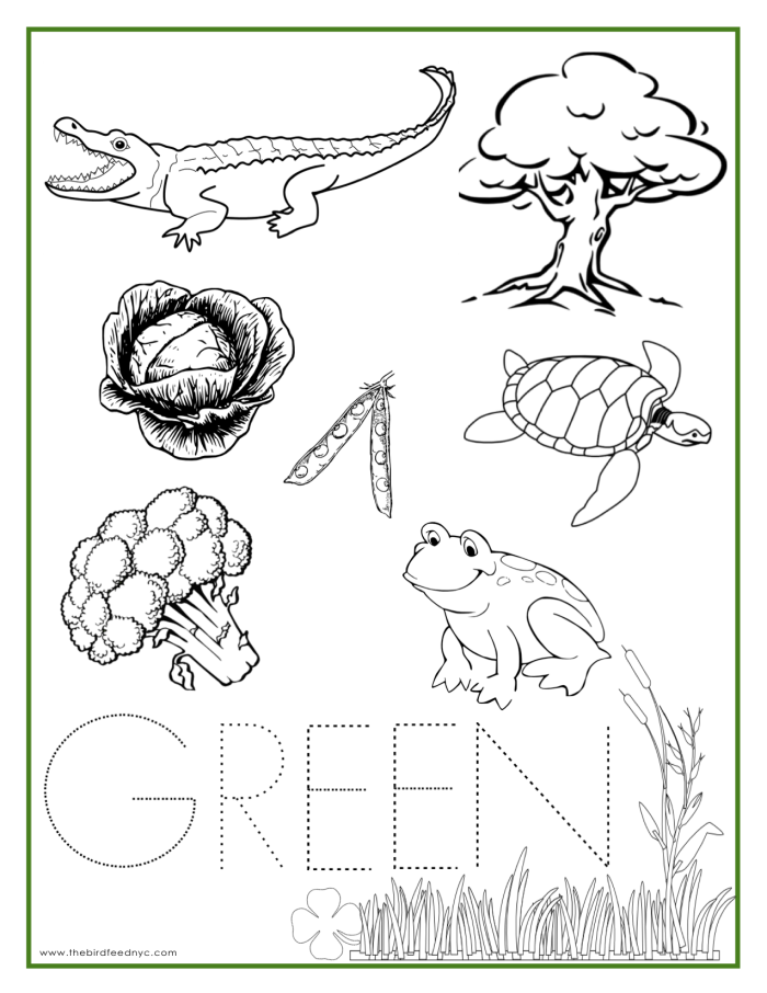 The Color Green worksheet for Pre-K
