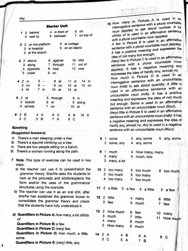 Third grade worksheet on abbreviations with word bank and sentences