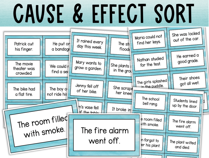 Graphic organizer for understanding cause and effect in French literature for third graders