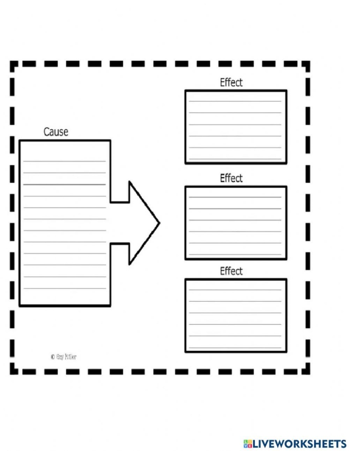 Graphic organizer worksheet illustrating cause and effect relationships for third-grade French learners