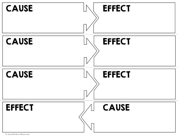 Graphic organizer for third graders illustrating cause and effect relationships in reading