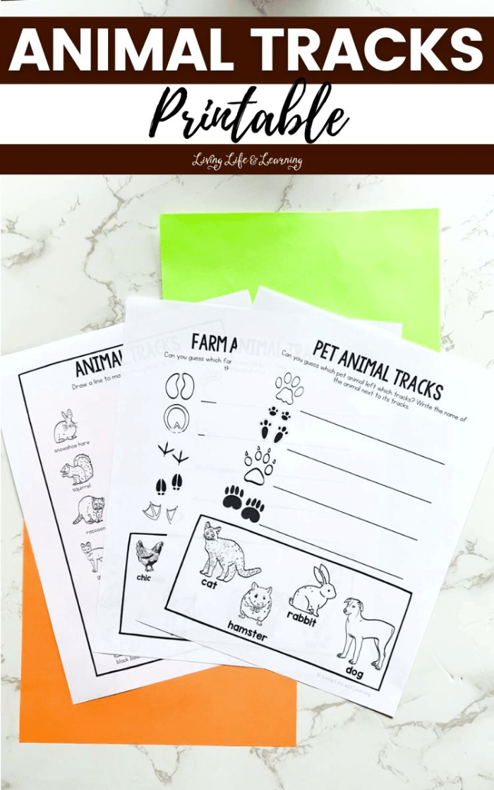 Third Grade Decimal Worksheet on North American Animal Tracks with Matching Activity