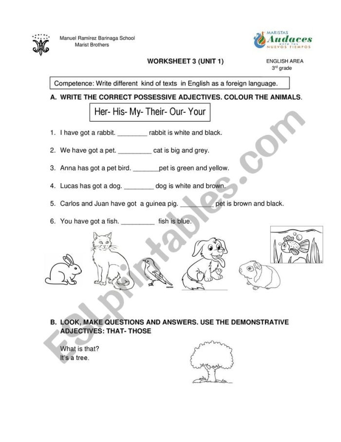 Geometry demonstrative adjectives practice sheet for third graders labeled image 9 Third grade geometry worksheet focusing on demonstrative adjectives like this, that, these, and those