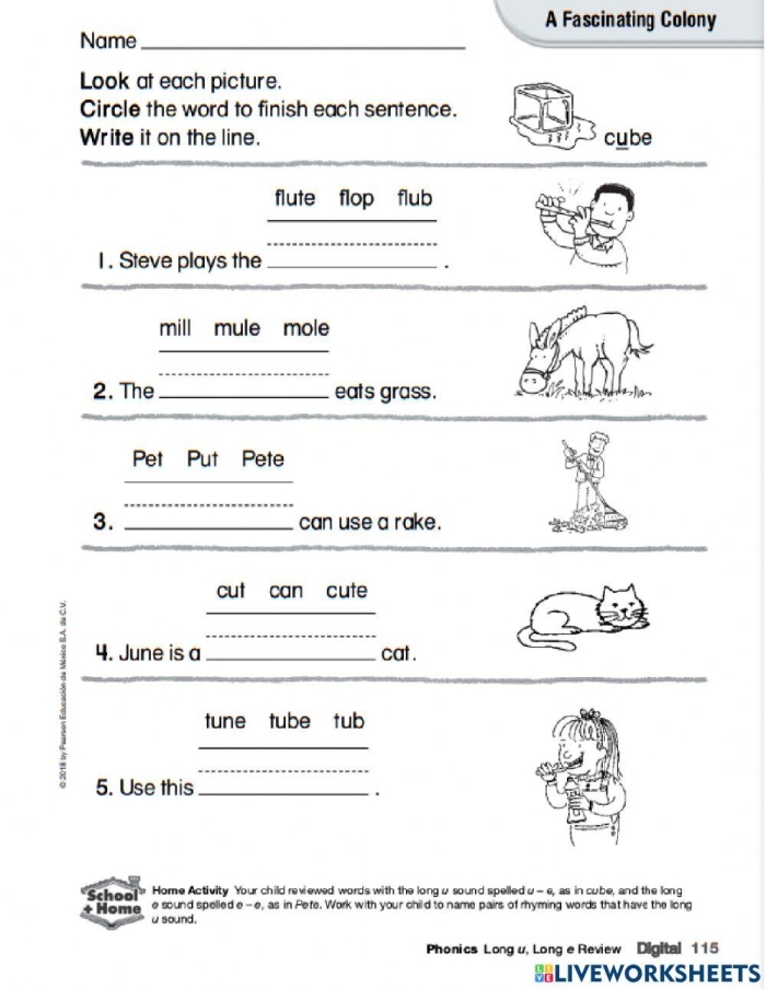 Inflected Ending Rules for Words Ending with Final e worksheet page eight Third grade worksheet on final e inflected ending rules with practice exercises
