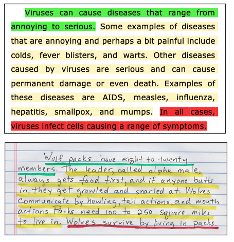 Color Code the Paragraph worksheet for grammar and mechanics practice, example number eight Third grade student completing a Color Code the Paragraph worksheet to identify parts of an informative text