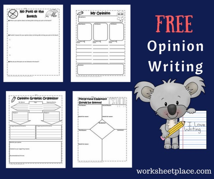 Opinion Writing Check-In worksheet for third grade students assessing opinion writing skills