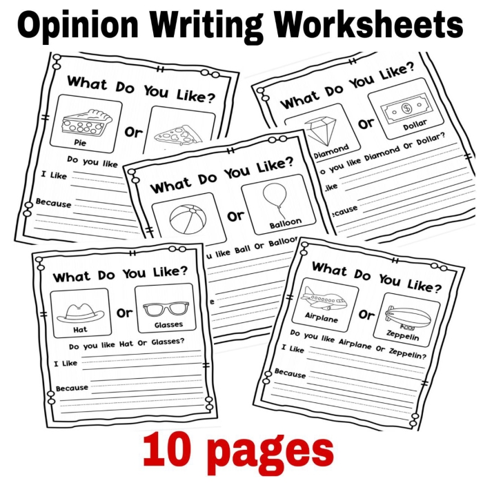 Third grade Opinion Writing Check-In worksheet for assessing student responses